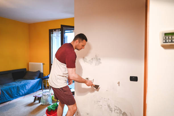 Professional Mold Removal in La Porte, IN
